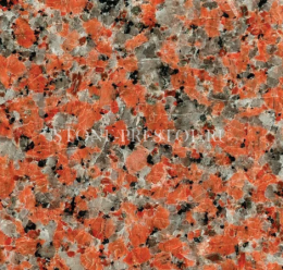 Marple Red (Марпл рэд), фото Купить Marple Red (Марпл рэд) в Коммунаре